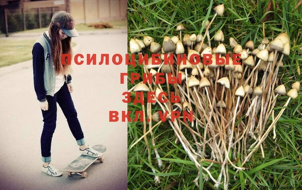 дмт Абинск