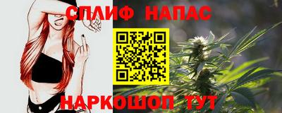 прущие грибы Абакан