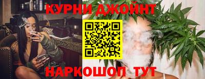 прущие грибы Абакан