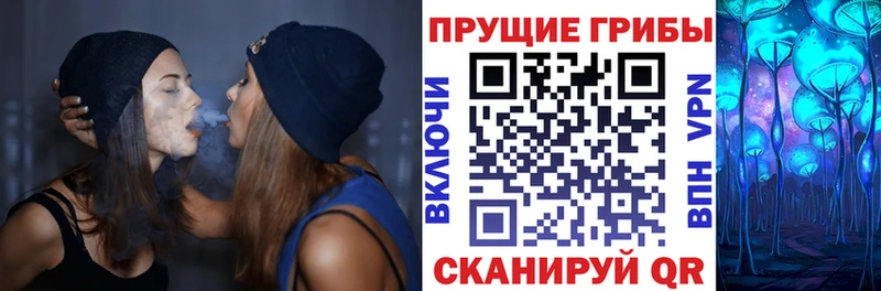 Псилоцибиновые грибы ЛСД  продажа наркотиков  Азнакаево 
