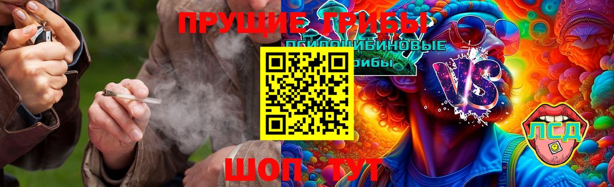 Псилоцибиновые грибы GOLDEN TEACHER Азнакаево